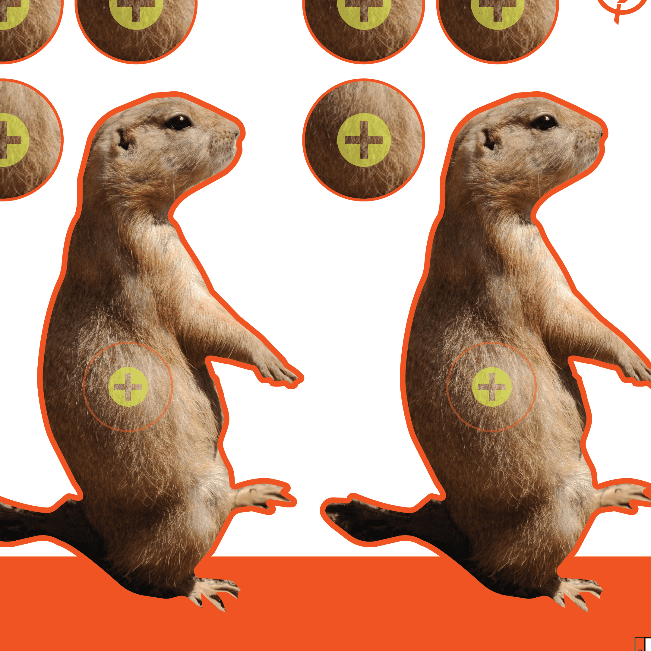 Ez Aim Prairie Dog Shooting Targets, 8 In Square, 13-Pack