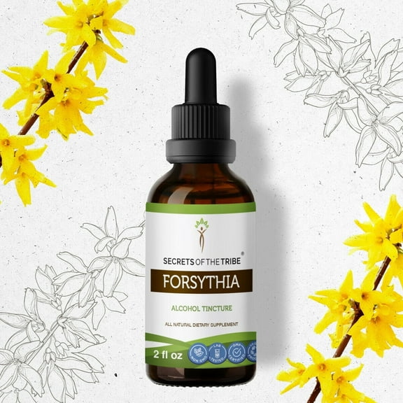 Secrets Of The Tribe Forsythia Tincture Dietary Supplement, Natural Herbal Extract for Immune Support, Forsythia (Lian Qiao, Forsythia Suspensa) Dried Fruit, Alcohol Extract, Drops 2 oz