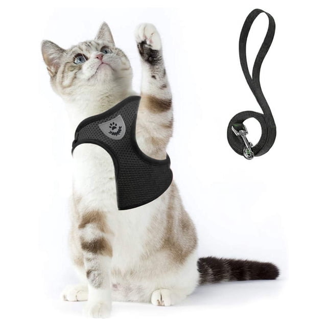 TIMIFIS Cat Harness Cat Harnesse And Leash Adjustable Soft Mesh Vest with Reflective Strap Metal Cat Harness And LeashFall