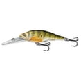 thumbnail image 3 of LIVETARGET Yellow Perch Deep 3 5/8" 106 florescent/matte, 3 of 3