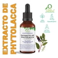 thumbnail image 1 of EXTRACTO DE PHYTOLACCA 60 ML VIVONATURAL. 100% NATURAL. ORGÁNICO, 1 of 3