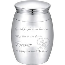 Small Keepsake Urn for Human or Pet Ashes Memorial Mini Urns Stainless Steel Modern Extra Small Ashes Holder Cremation Container Jar 1.18x1.57inch Silver - Special People Never Leave Us Mixed Color