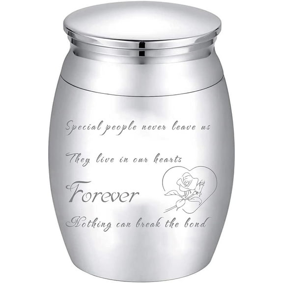 Small Keepsake Urn for Human or Pet Ashes Memorial Mini Urns Stainless Steel Modern Extra Small Ashes Holder Cremation Container Jar 1.18x1.57inch Silver - Special People Never Leave Us Mixed Color