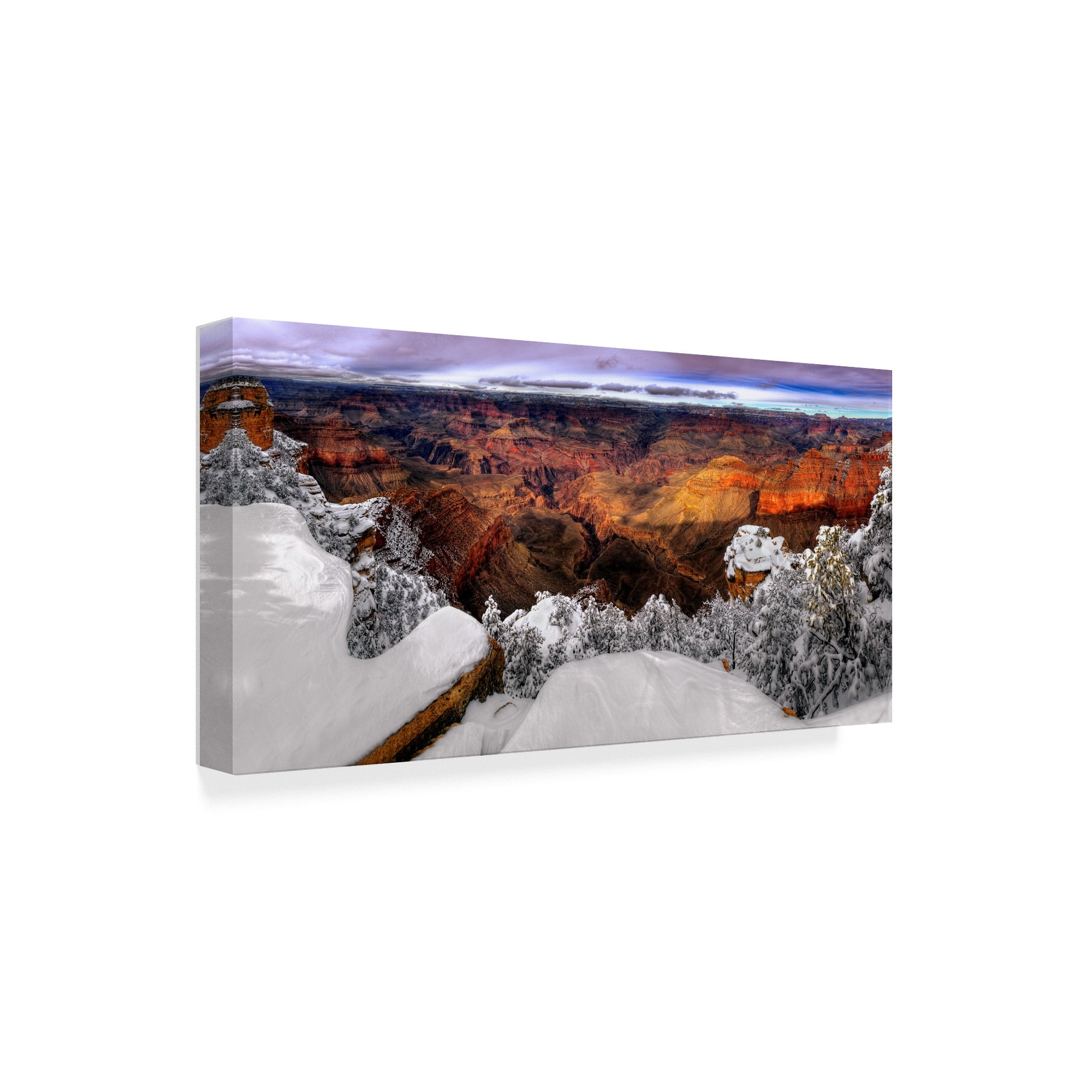 Trademark Fine Art 'Snowy Grand Canyon VII' Canvas Art by David Drost
