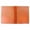 Orange, variant on Yellow Single Side 3 Hole Folding Two Pocket Poly Folder, Portable File Organizer for Daily Home & Office Filing