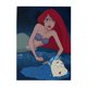 thumbnail image 3 of Rompecabezas de madera de 500 piezas de Ariel: adecuado para niños y adultos, rompecabezas para niños y niñas, juguetes de juego de entretenimiento con rompecabezas. Talla única, 3 of 8