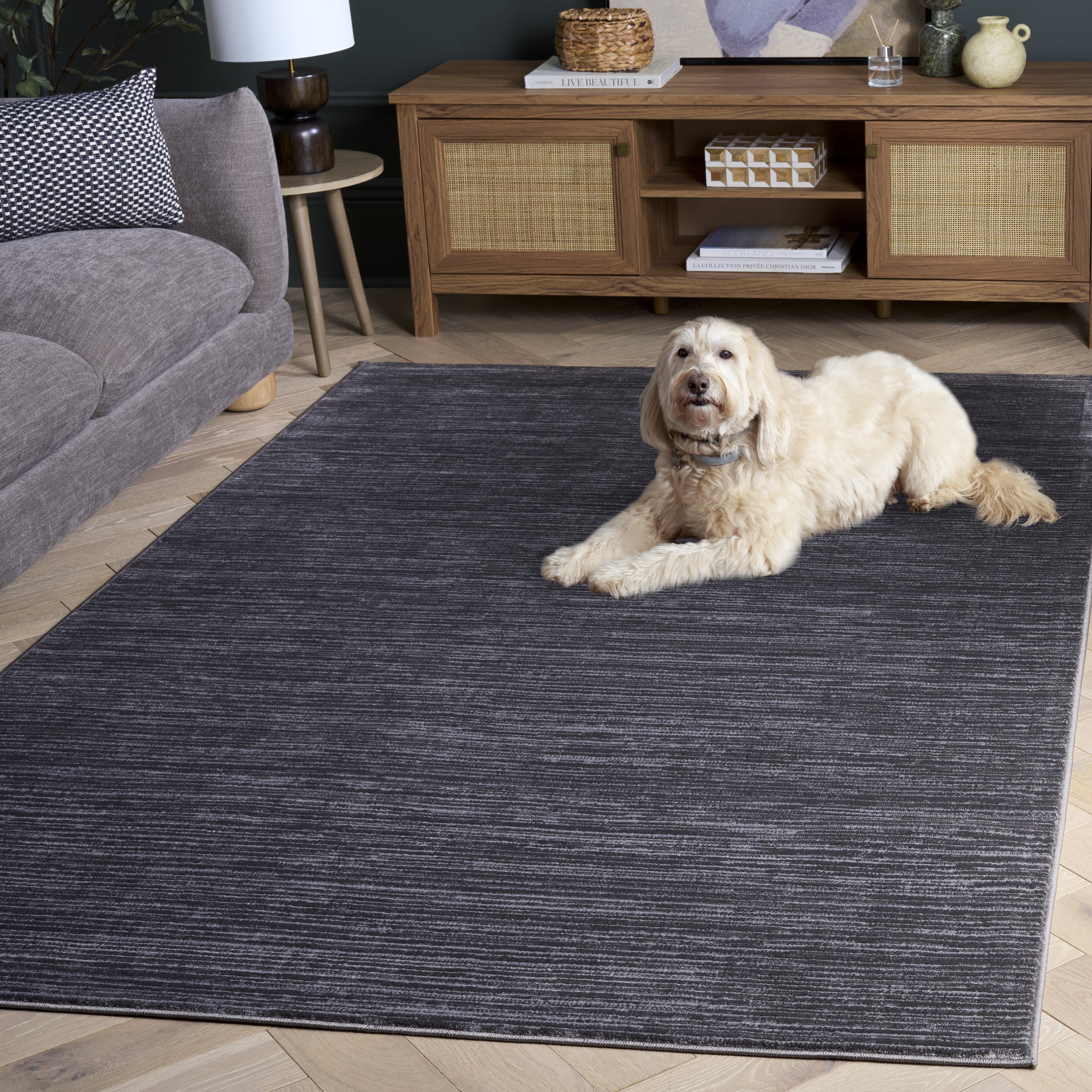 SAFAVIEH Vision Adrasteia Overdyed Solid Area Rug, Grey, 3' x 5' - Modern Design, Grey, Non-Shedding & Easy Cleaning, Ideal for Living Room, Bedroom, Dining Space, Entryway, Bathroom, Bedside