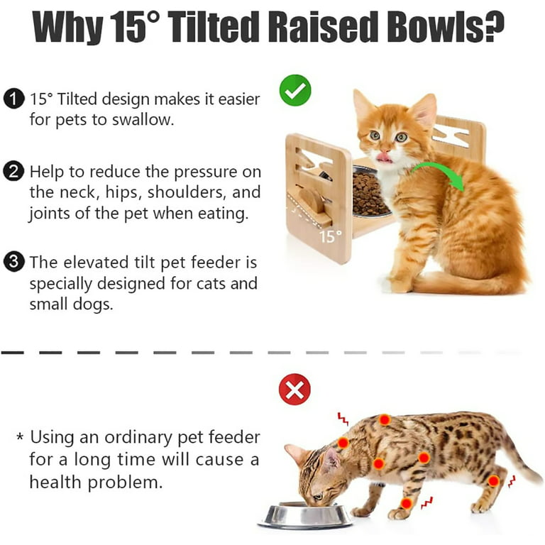 Elevated Dog Bowls Small Dogs, Easy Food Bowl Cats Dogs