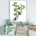 thumbnail image 2 of Designart 'Ancient Green Leaves Plants VII' Traditional Framed Canvas Wall Art Print, 2 of 5