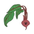 thumbnail image 4 of Fruits N Veggies(1) Embroidery Designs - All Popular Formats Included - Loaded on USB Stick, 4 of 10