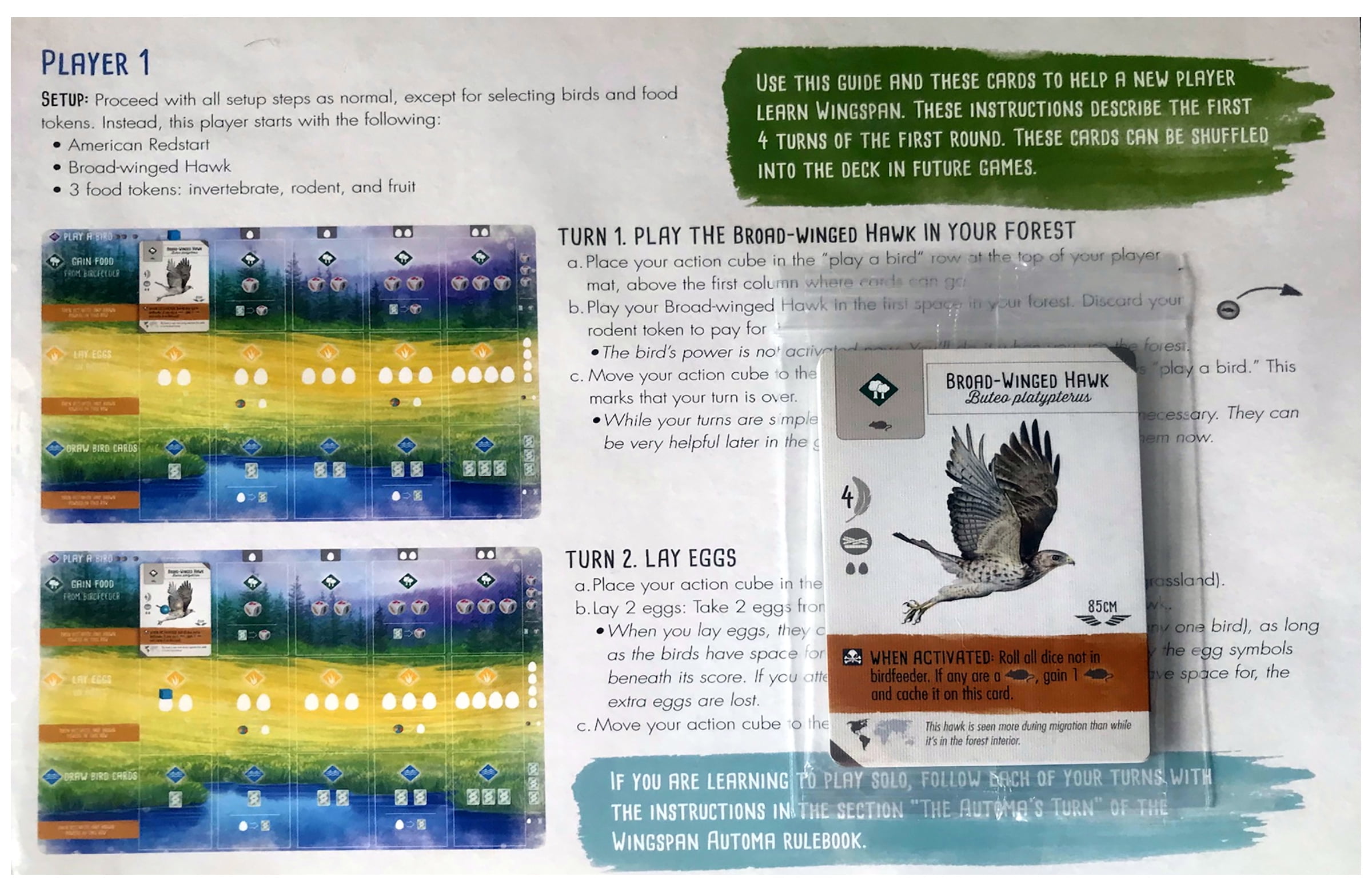 Wingspan Strategy Board Game with Swift Start Pack Expansion - Walmart.com