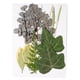 thumbnail image 4 of Yuarrent Hoja seca natural en relieve hojas prensadas decoración postal del hogar para tarjetas de boda de resina hoja verde 8 Type1 NO1, 4 of 6