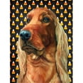 thumbnail image 1 of Carolines Treasures LH9548CHF Irish Setter Candy Corn Halloween Flag Canvas House Size, 1 of 4