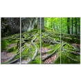 thumbnail image 2 of Forêt de Mousse Profonde en Ukraine - Impression sur Toile Paysage, 2 of 3
