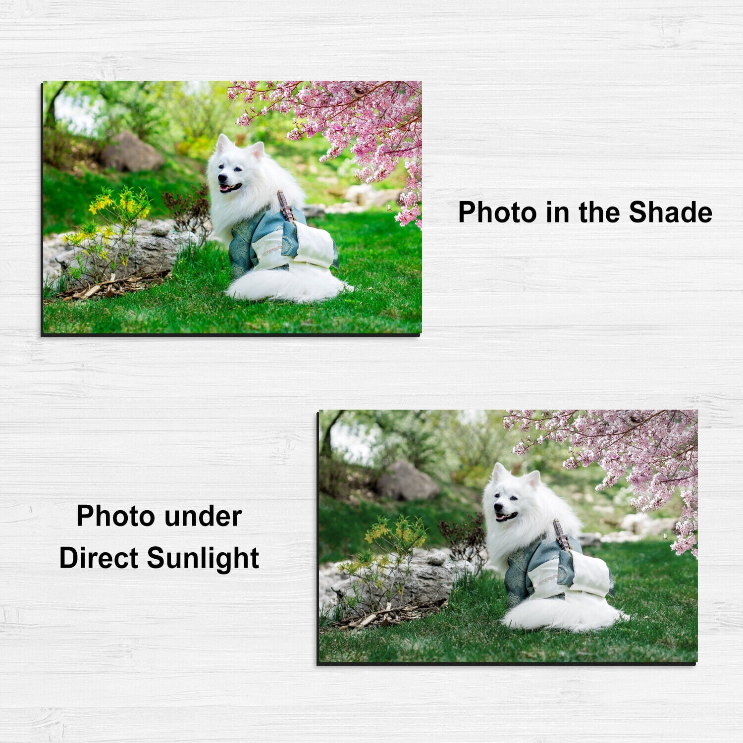 Stone City Printable Magnetic Sheets, 8.5"x11", 24 PK Glossy Magnet Photo Paper 12Mil for Inkjet Printers