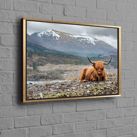 Personalized Highland Cow Farmhouse Canvas Art With Tropical Accents Ideal as a Unique Gift for Him or a Teacher