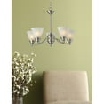 thumbnail image 4 of Z-Lite 2114-5- 5 Light Chandelier Bronze Steel  Glass, 4 of 5