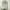 Gold, variant on Clavie Arched Window Mirror, Modern Arched Mirror with Metal Frame Decorate, Wall Mirror Vanity Mirror for Bathroom Bedroom，Gold