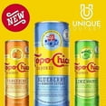 thumbnail image 2 of Topo Chico Sabores, Variety Pack Sparkling Water, 12 Oz Can, 2 of 4