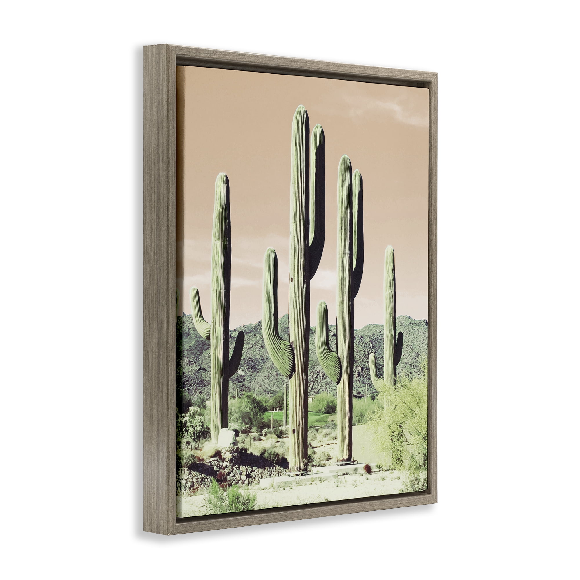 Stupell Industries Sunrise Cactus Scene Landscape & Nature Photography Brown Floater Framed Canvas Art Print Wall Art, 17 x 21