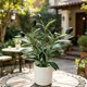thumbnail image 4 of Ramas de olivo artificiales para patios interiores | Decoración con follaje artificial realista | Adornos de plantas de plástico realistas para arreglos de mesa y jarrones en el hogar, 4 of 7