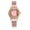 B, variant on VerPetridure Women Watch Clock Stainless Steel Casual Dress Wrist Crystal ladies watch