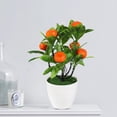 thumbnail image 4 of Realistic Artificial Pachycarpus Fortunei Bonsai Tree for Home Decor - Fake Plant Centerpiece for Coffee Table, Shelf, or Photography Props, 4 of 6