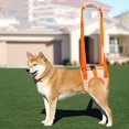 thumbnail image 1 of Cinturón auxiliar naranja para perros (cintura S 28-36 cm, pierna 17 cm), soporte de cinturón de elevación de malla para perros, cinturón de equilibrio para ejercicios de rehabilitación con correa pa, 1 of 5