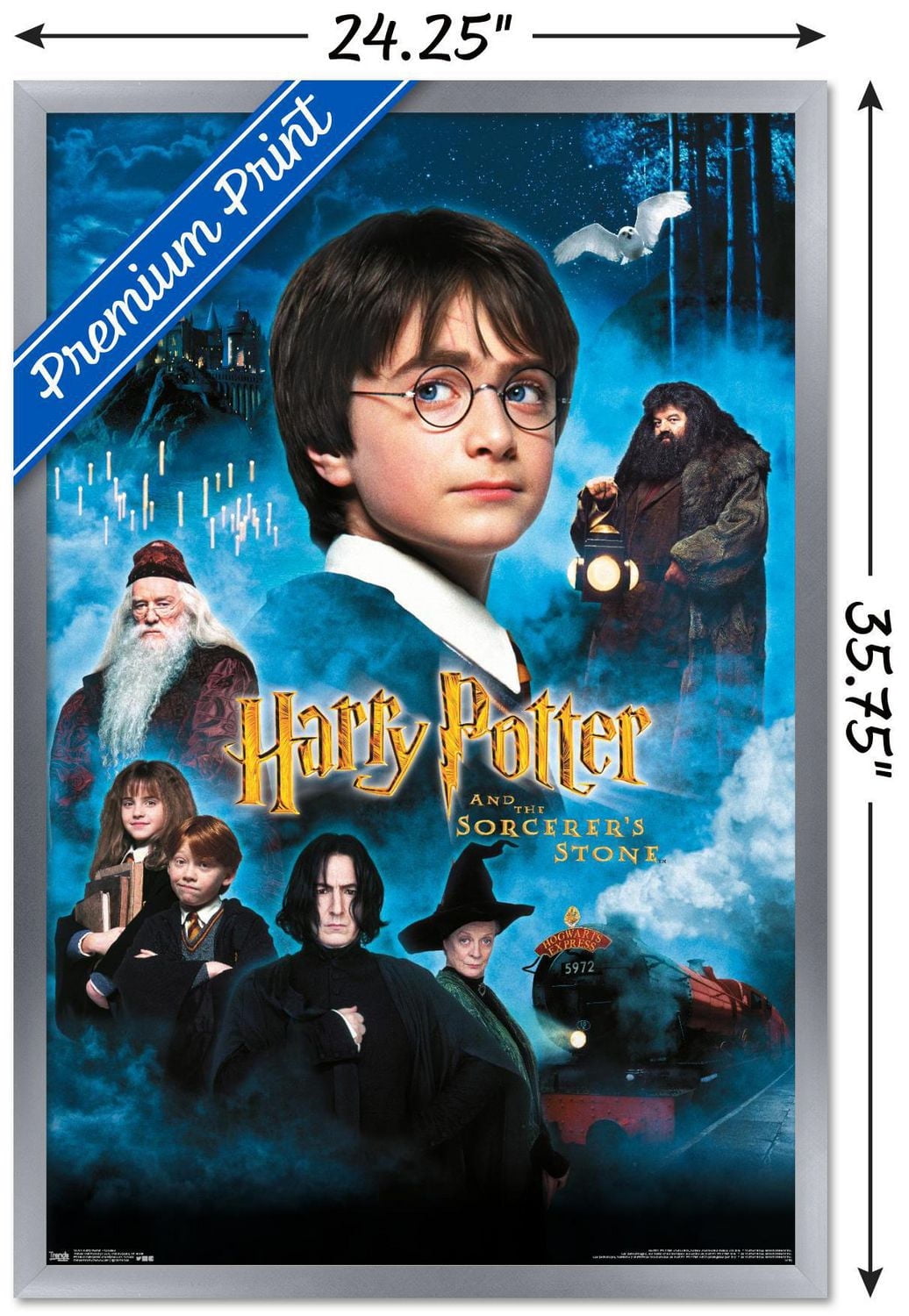 Harry Potter and the Sorcerer's Stone - Candles One Sheet Wall Poster