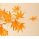 thumbnail image 4 of Xihbxyly Hojas de Arce Artificiales, Tallos Decorativos Otoñales, Ramo de Seda Otoñal, Hojas Vibrantes En Naranja, Rojo y Verde, Centros de Mesa para Bodas, Decoración para El Hogar y La Oficina, 23,, 4 of 6