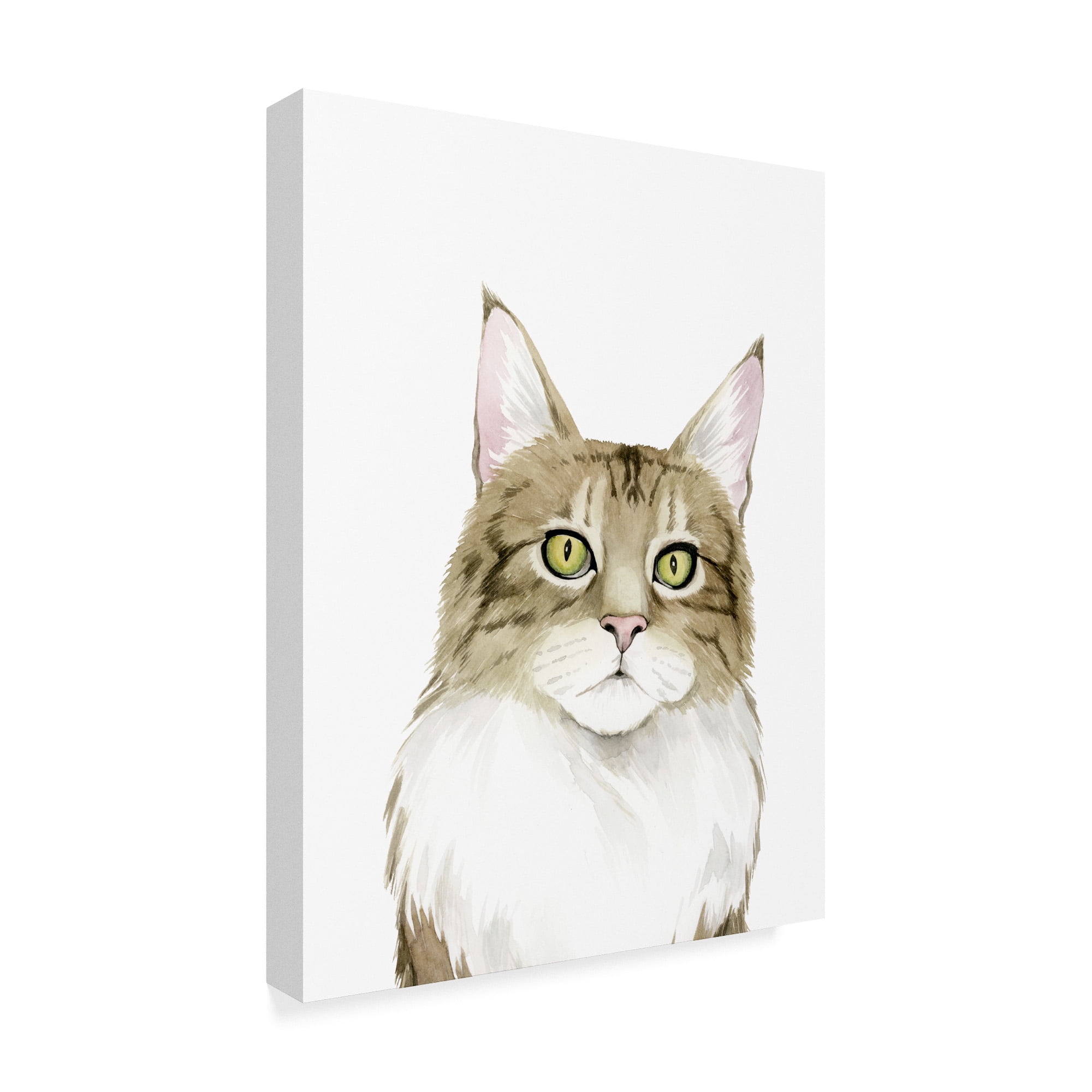 Trademark Fine Art 'Cat Portrait IV' Canvas Art by Grace Popp
