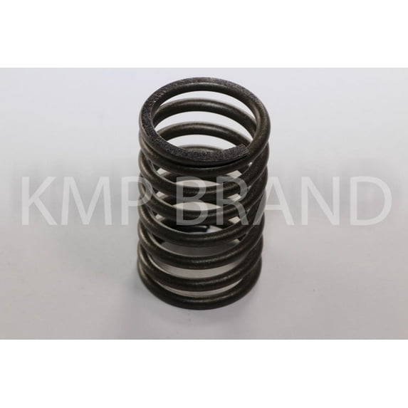 Pack of 6 VALVE SPRING OUTER 731154M1 for Massey Ferguson