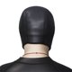 thumbnail image 4 of Sombrero de pico de águila para hombre, máscara de fiesta de cuero para Cosplay de Halloween, máscara de capucha cubierta completa, máscara extraíble con los ojos vendados, accesorios para máscaras, 4 of 4
