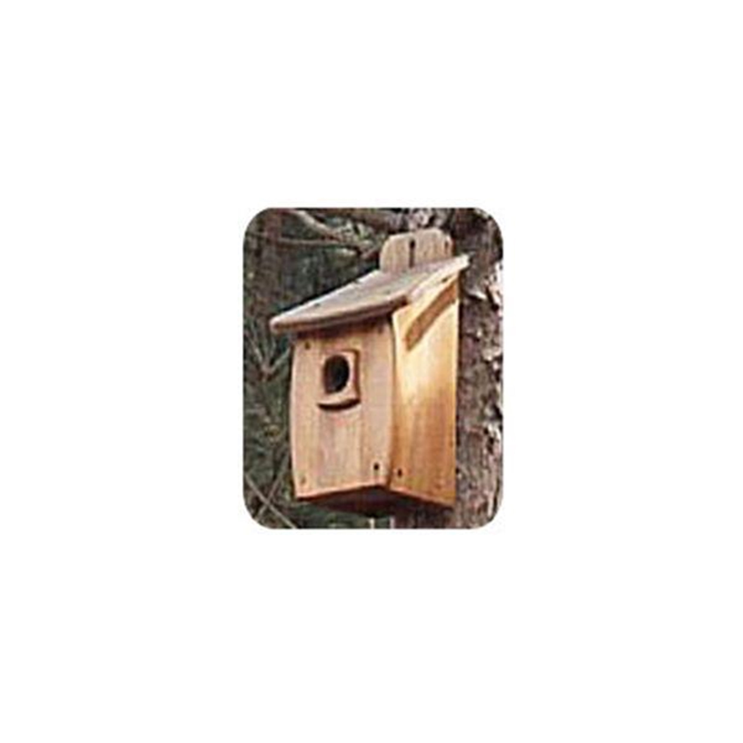 Woodworking Project Paper Plan to Build Extra Large Birdhouse by