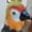 Orange, variant on Furry Parrot Head Mask,Realistic Parrot Mask,Hairy Macaw Bird Masks,Spoof Birds Masks Fancy Dress