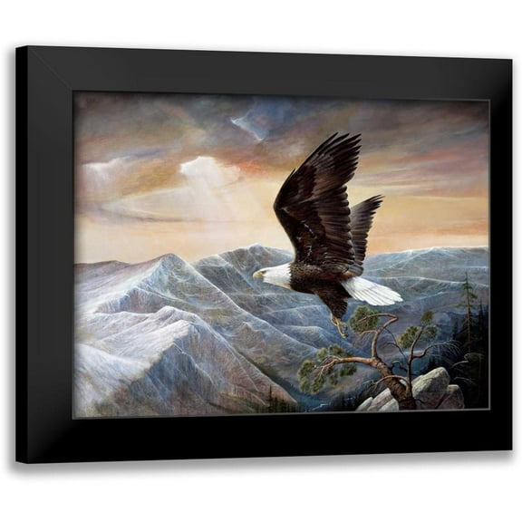 Manning, Ruane 14x12 Black Modern Framed Museum Art Print Titled - Eagles Lair