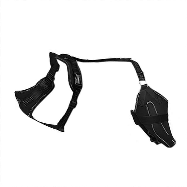 Dog Collar Knee Brace for Hind Leg for Asian Dog Arthritis L