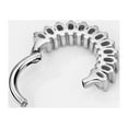 thumbnail image 3 of FANSING 16 Gauge Surgical Steel Septum Hoop 16g 10mm Daith Piercing Rings, 3 of 3