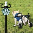 thumbnail image 2 of 2 Wheels Dog Wheelchair For Back Legs Wheels Dog Wheelchair For Back Legs Dog Wheelchair For Back Legs Dog Wheelchair Doggy Wheelchair For Back Legs Dog Wheelchair For Back Legs L Spacer Dog, 2 of 5