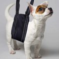 thumbnail image 5 of Large Dog Mobility Aids Support Sling For Back Legs, Hip Lifting Harness to Lift Pets Hind Front Rear L, 5 of 5