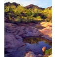 thumbnail image 2 of Talbot Frank, Christopher 20x23 White Modern Wood Framed Museum Art Print Titled - AZ Spring with Organ Pipe cacti along a stream, 2 of 4