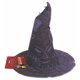 Rubies Costume Co (Canada) Accessoire de Costume Harry Potter, Chapeau de Tri d'Enfant – image 1 sur 4