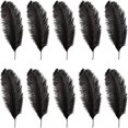 thumbnail image 1 of MesaSe Lot de 20 Plumes d'Autruche Rouge Naturelles 8-10 Pouces pour Décorations DIY Mariage Centre de Table, 1 of 8