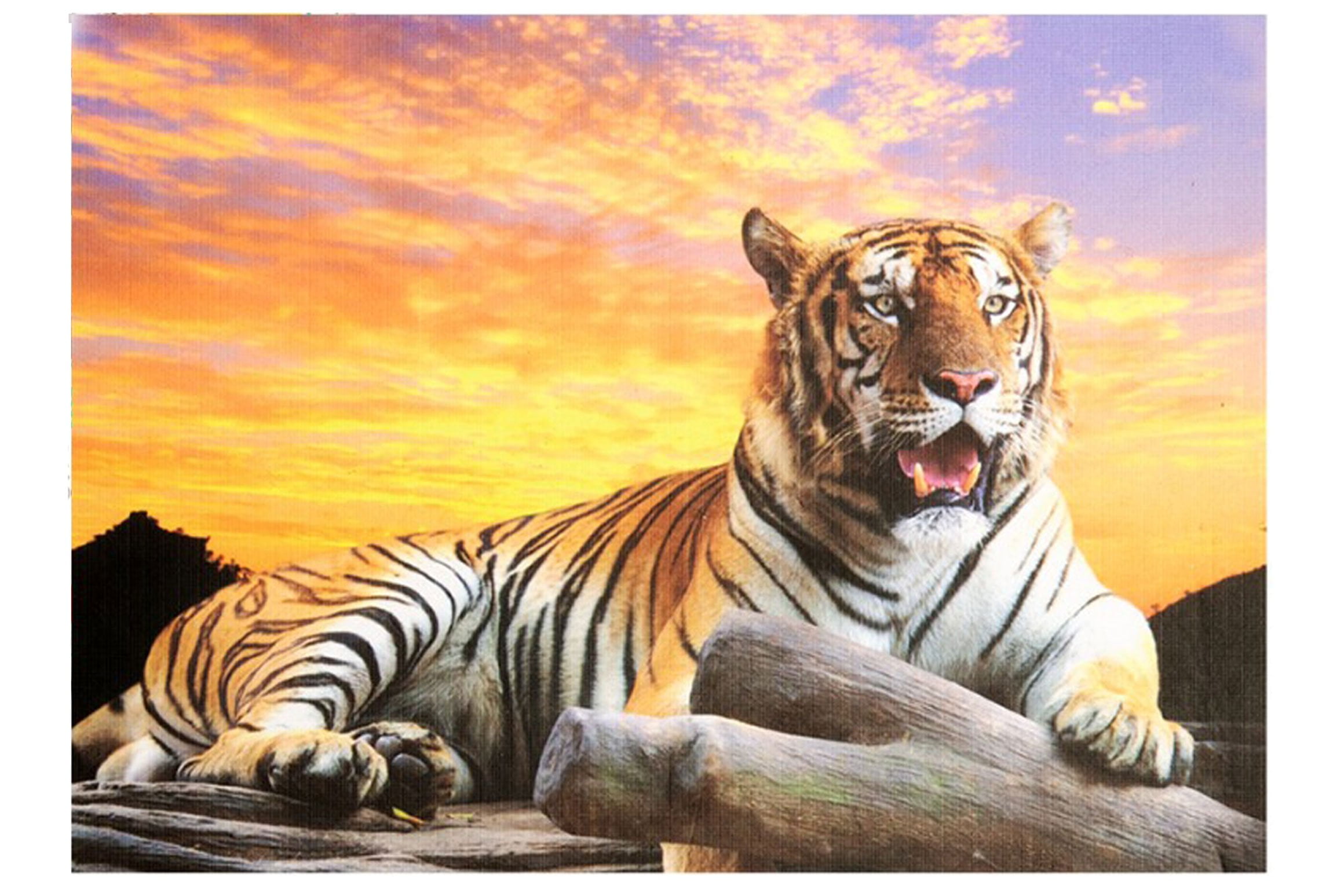 National Geographic Big Cats Initiative Tiger 500pc Super 3D Effect Puzzle 