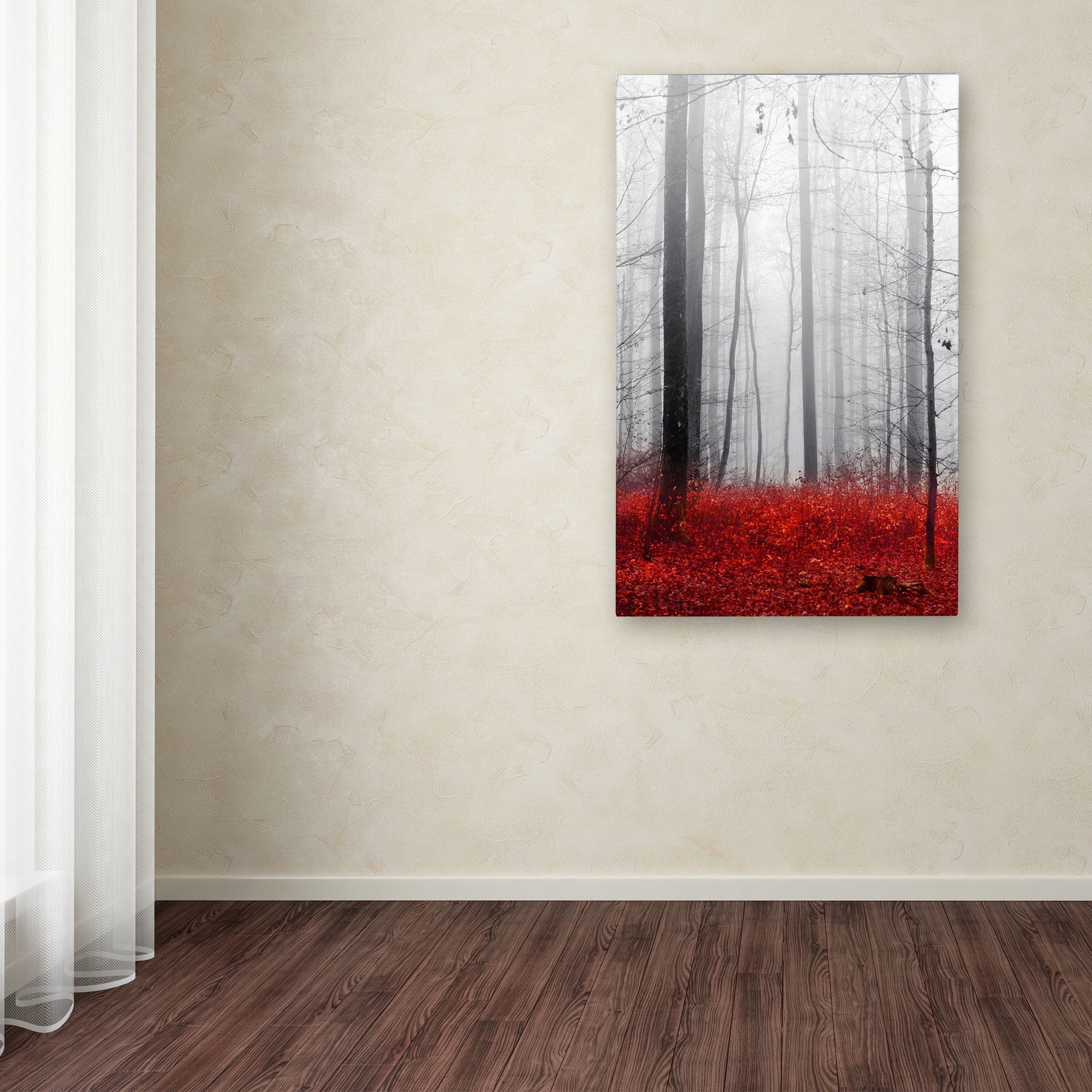 Trademark Fine Art "Little Red Carpet" Canvas Art by Philippe Sainte-Laudy