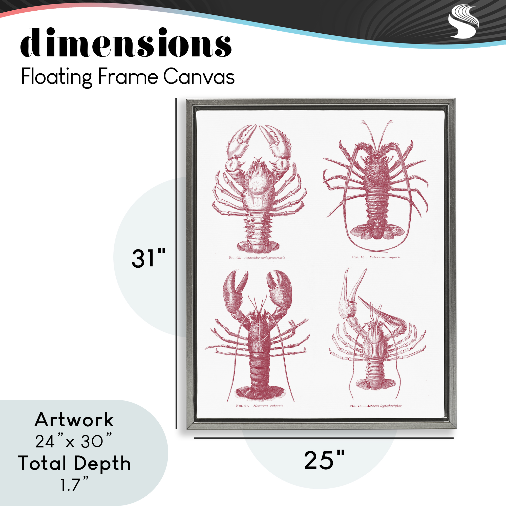 Timeless Lobsters Species Gray Framed Floater Canvas Wall Art, design by Lettered and Lined