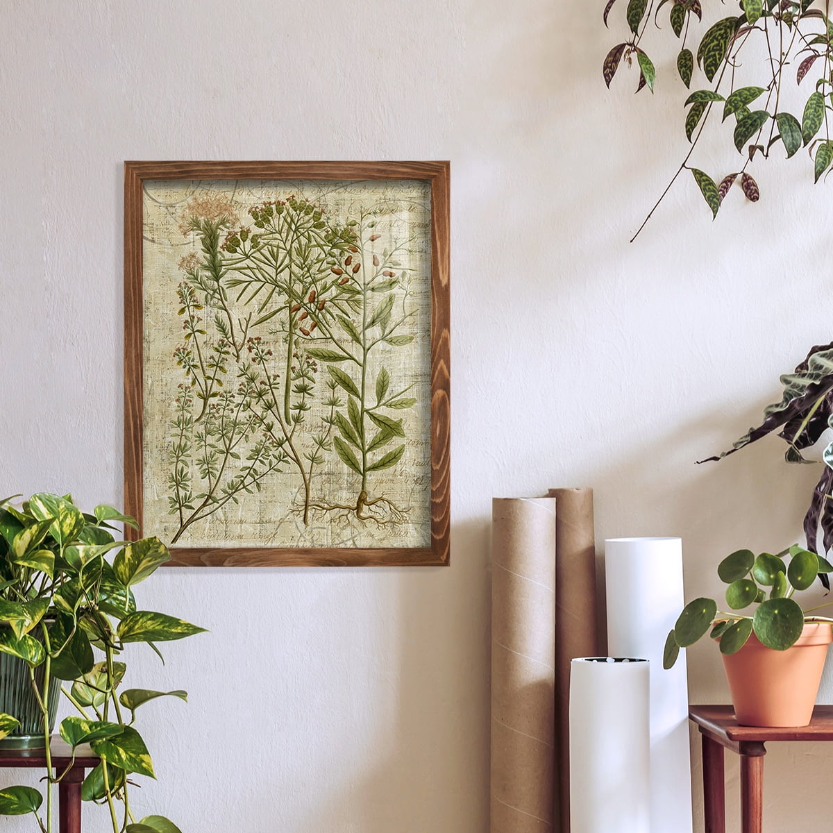 Garden Verses I -Framed Print w/glass-Walnut