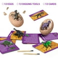 thumbnail image 5 of Piano Potato 12 Unique Dino Egg Dig Kit,  Dinosaur Eggs Excavation Sets,  Dinosaur Toys for Kids, Easter Party Archaeology Paleontology Educational Science STEM Gift for Age 6+ Boys and Girls, 5 of 11