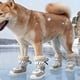 thumbnail image 2 of Zapatos de invierno de goma para mascotas, suela antideslizante, impermeables y cálidos, para todas las razas de perros, uso en exteriores e interiores, 2 of 6