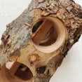 thumbnail image 4 of Bird Parrot Natural Wooden Standing Stick Pet Molar Toys Bird Cage Accessories For Guinea Pig Rabbit, 4 of 9